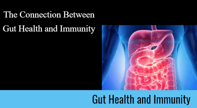 The Connection Between Gut Health and Immunity