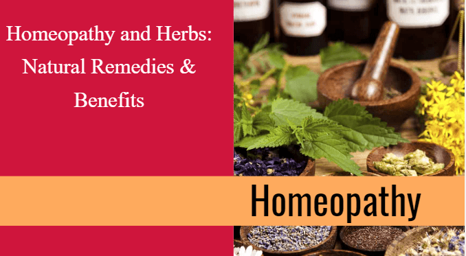 Homeopathy and Herbs: Natural Remedies & Benefits